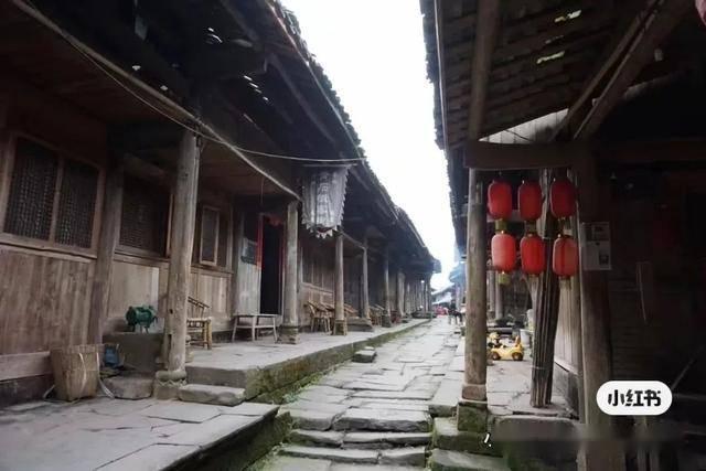 救援受困的鬃狼
